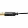 Eaton Tripp Lite Series 4K HDMI to DisplayPort Active Converter (M/F) with USB Power, 6 in. (15.2 cm) - Image 10