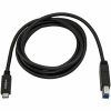 StarTech.com 2m 6 ft USB C to USB B Printer Cable - M/M - USB 3.0 (5Gbps) USB B Cable - USB C to USB B Cable - USB Type C to Type B Cable - Image 5