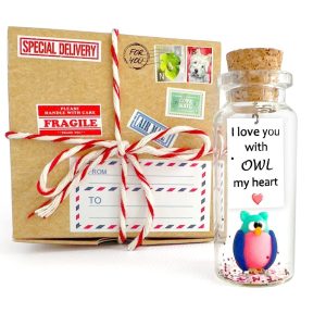 Cute and Kawaii Valentine's Day and Anniversary Presents Personalized Love Gifts for Boyfriend Girlfriend (Colorful Owl I Love You with Owl My Heart in Craft Gift Box)