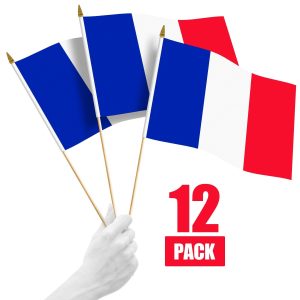 G128 12 Pack Handheld France French Stick Flags | 12x18 In | Printed 150D Polyester, Country Flag, Solid Wooden Stick, Spear Gold Tip