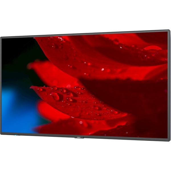 NEC Display 43" Wide Color Gamut Ultra High Definition Professional Display - Image 3