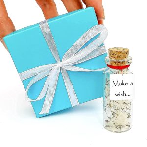 Tiny Magical Message in a Bottle Gift Idea Classy Inspirational Gifts for Him and Her Unique Presents for Women and Men (White Dandelion Make a Wish in Teal Gift Box)