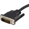 StarTech.com 10-Pack 6ft DisplayPort to DVI Cable - 1080p DisplayPort 1.2 to DVI-D Video Adapter Cable - Passive DP++ to DVI Digital Cable - Image 2