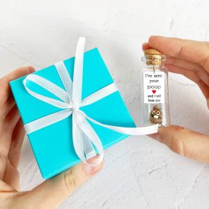 Cute Girlfriend and Boyfriend Gifts Personalized Anniversary Present for Her Him Custom Birthday Gift Idea for Women Men (Brown Poop I've Seen Your Poop and I Still Love You in Teal Gift Box)