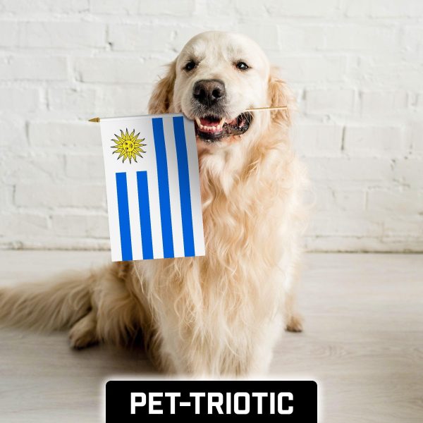 G128 30 Pack Handheld Uruguay Uruguayan Stick Flags | 12x18 In | Printed 150D Polyester, Country Flag, Solid Wooden Stick, Spear Gold Tip - Image 7