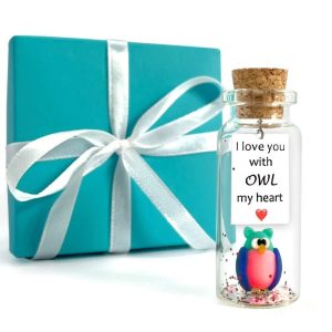 Cute and Kawaii Anniversary Presents Personalized Love Gifts for Boyfriend Girlfriend Romantic Gift for Her Him (Colorful Owl I Love You with Owl My Heart in Teal Gift Box)