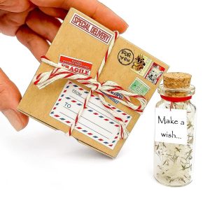 Tiny Magical Message in a Bottle Gift Idea Classy Inspirational Gifts for Him and Her Unique Presents for Women and Men (White Dandelion Make a Wish in Craft Gift Box)