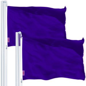 Solid Violet Color Flag 3x5 Ft 2-Pack Printed 150D Polyester By G128