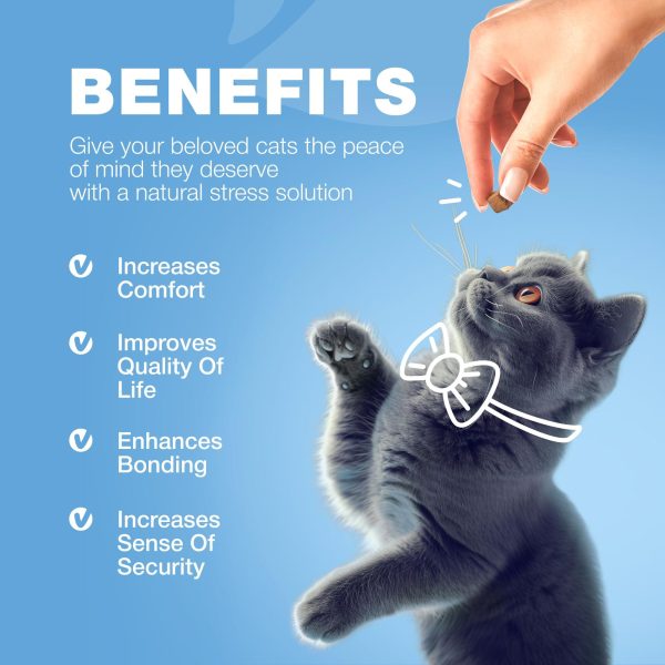 Cat Calming Treats   Hemp Calming Care for Cats   Cat Melatonin Soft Chews with Hemp Seed Oil and Probiotics   Cat Anxiety Relief   Storms Travel Grooming Separation   Calming Chews for Cats - Image 8