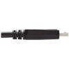 Eaton Tripp Lite Series DisplayPort to DVI Adapter Cable (DP with Latches to DVI-D Single Link M/M), 10 ft. (3.1 m) - Image 5