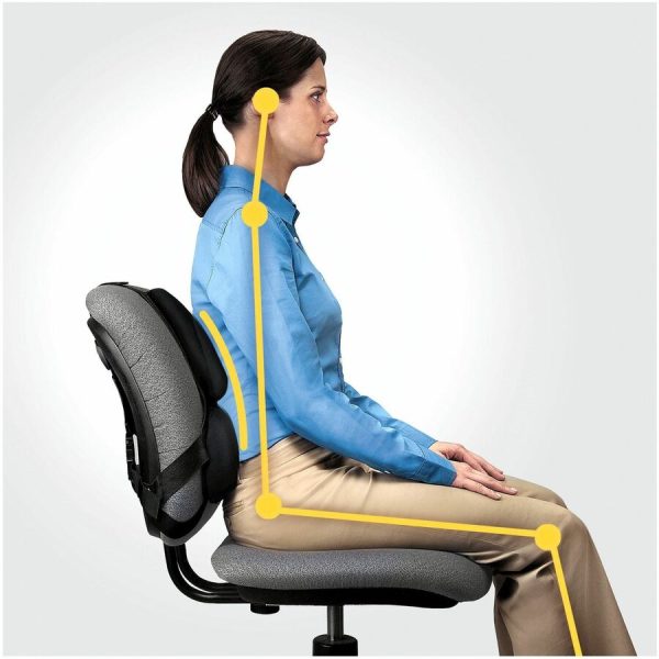 Fellowes Professional Series Back Support with Microban® Protection - Image 6
