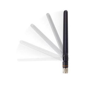 Dual Band 4 dBi Dipole Ant