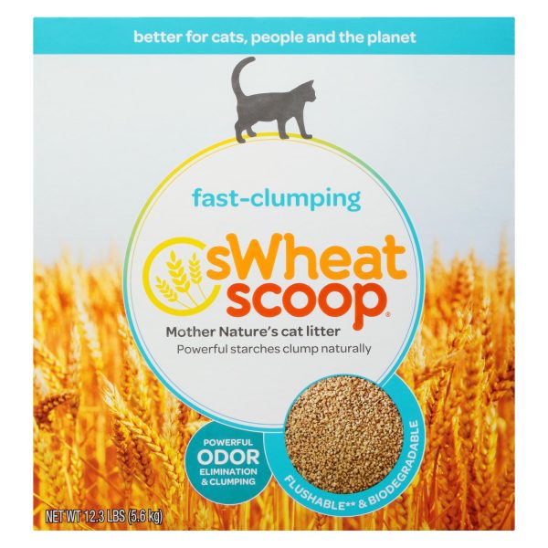 Swheat Scoop - Cat Litter Fast Clump Box - Case of 3-12.3 LB