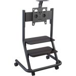 Video Conferencing Cart