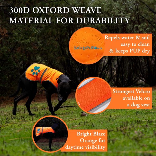 Reflective Dog Vest. Hi Visibility Fluorescent Blaze Orange Dog Vest Helps Protect Your Best Friend. Safeguard Your PUP from Motorists & Hunting Accidents On or Off Leash. (Small) - Image 3