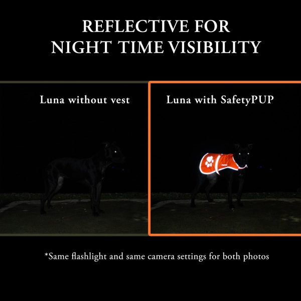 Reflective Dog Vest. Hi Visibility Fluorescent Blaze Orange Dog Vest Helps Protect Your Best Friend. Safeguard Your PUP from Motorists & Hunting Accidents On or Off Leash. (Small) - Image 4