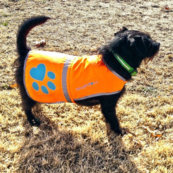 Reflective Dog Vest. Hi Visibility Fluorescent Blaze Orange Dog Vest Helps Protect Your Best Friend. Safeguard Your PUP from Motorists & Hunting Accidents On or Off Leash. (Small) - Image 5