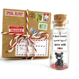 Cute Girlfriend and Boyfriend Gifts Personalized Anniversary Present for Her Him Custom Birthday Gift Idea for Women Men (Grey Cat I Love Every Meow ment Spent With You in Craft Gift Box)