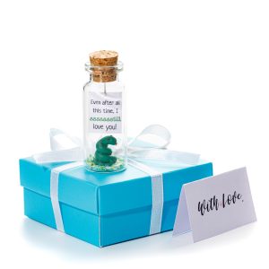 Anniversary Present for Her & Him Valentines Day Romantic Gift to Boyfriend Girlfriend Message I Love You Gifts Wife Husband (Snake I Sssssstill Love You In Teal Gift Box)