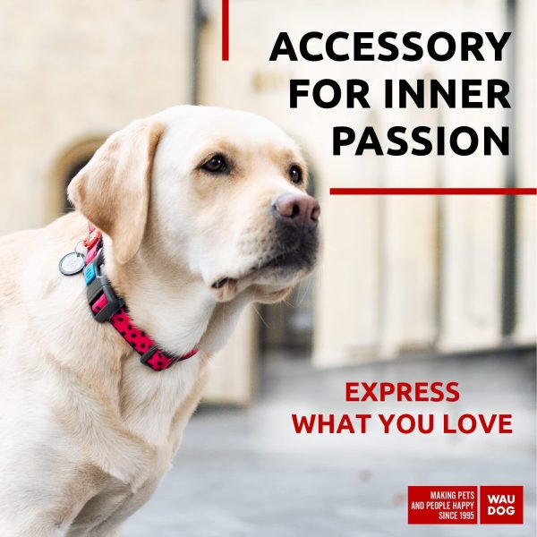 Nylon Dog Collar   Adjustable Dog Collar for Large Dogs Small & Medium Dogs   Breakaway Puppy Collars for Large Breed Dogs   Boy & Girl Dog Collars with Durable Plastic Buckle and QR Dog Tag - Image 2