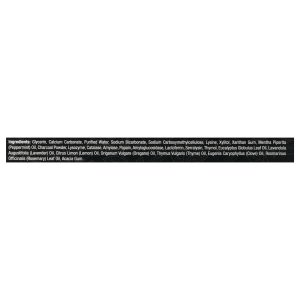 Nature's Answer - Tpste Charcoal Pprmint - 1 Each-4 OZ