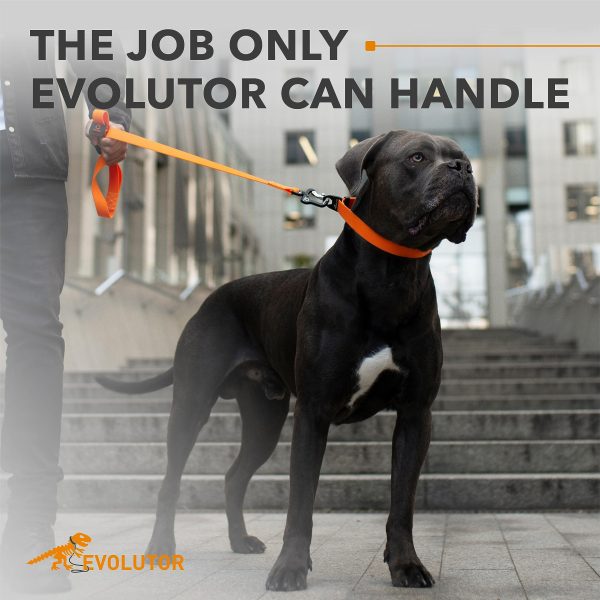 Evolutor Extra Heavy Duty Dog Leash 4 Ft   Durable Leash for Large Medium and Small Dogs   Strong Leashes for Large Breed Dogs   Walking Dog Leash (Orange) - Image 2