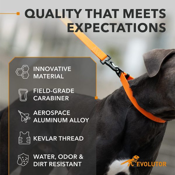 Evolutor Extra Heavy Duty Dog Leash 4 Ft   Durable Leash for Large Medium and Small Dogs   Strong Leashes for Large Breed Dogs   Walking Dog Leash (Orange) - Image 3