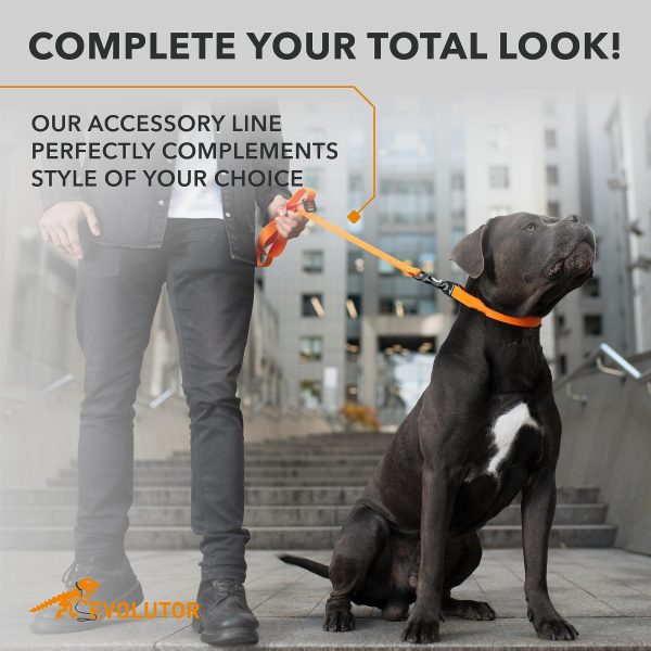 Evolutor Extra Heavy Duty Dog Leash 4 Ft   Durable Leash for Large Medium and Small Dogs   Strong Leashes for Large Breed Dogs   Walking Dog Leash (Orange) - Image 5