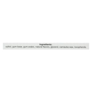 Pur Gum - Peppermint - Aspartame Free - 9 Pieces - 12.6 g - Case of 12