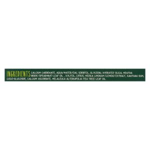 The Green Beaver Toothpaste - Spearmint Toothpaste - Case of 1 - 2.5 fl oz.