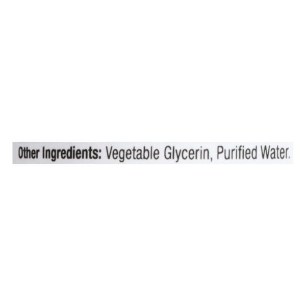 Nature's Answer - Bitters with Ginger Alcohol Free - 2 fl oz