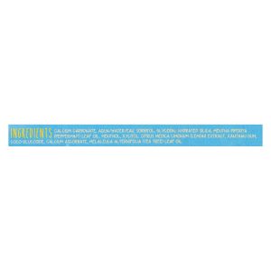 The Green Beaver Toothpaste - Frosty Mint Toothpaste - Case of 1 - 2.5 fl oz.
