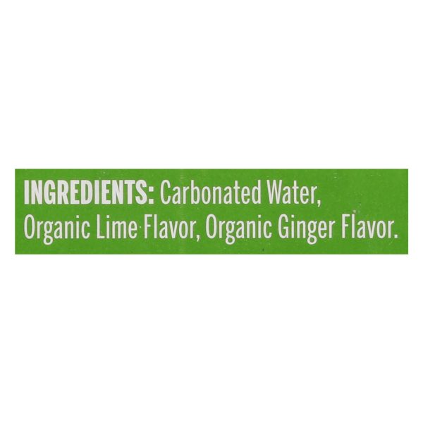 Nixie Sparkling Water - Sparkling Water Lime Ginger - Case of 3 - 8/12 FZ - Image 2