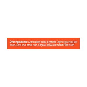 Lifeaid Beverage Company - Lifeaid Energy Mango Sorbet - Case of 12-12 FZ