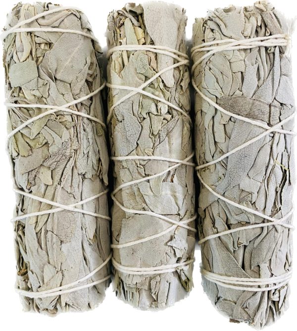 Bholi Sage Plus White Sage Sticks Pack of 3 Sage Smudge Kit 4'' Long Dried Sage Sticks for Meditation Smudging and Cleansing Getting Rid of Negative Energy