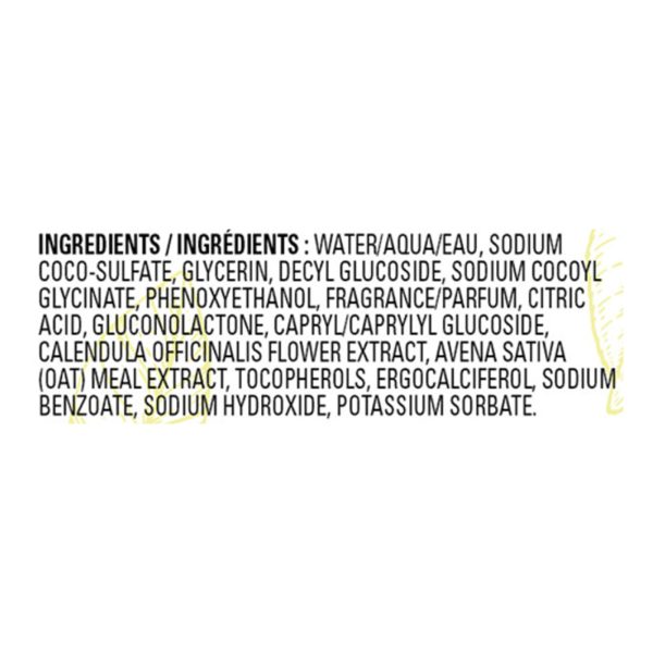J.R. Watkins - Hand Soap Foam Lemon - Case of 3-9 FZ