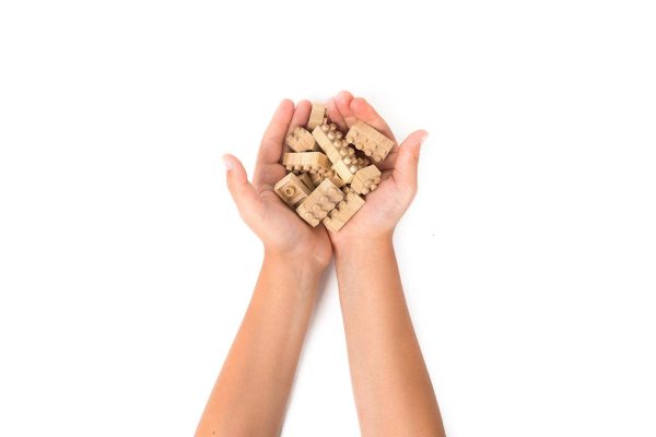 Eco-bricks Bamboo 250pcs - Image 4