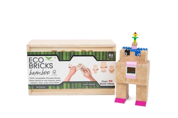 Eco-bricks Bamboo 250pcs - Image 7