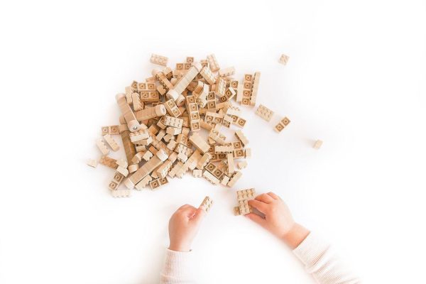 Eco-bricks Bamboo 250pcs - Image 13