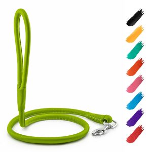 WAUDOG Rolled Leather Dog Leash 4Ft * 0.4 in for Small Medium and Large Dogs   Heavy Duty Leather Puppy Leash for Outdoor Walking Running Training   Strong Dog Leashes for Large Breed Dogs (Green)