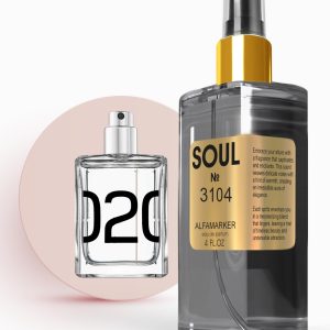 SOUL No. 3104 Impression of Molec. 02| Spray 4.0 Fl Oz   120 ml | Perfume for Women | Women Eau de Parfum | Long Lasting Fragrance