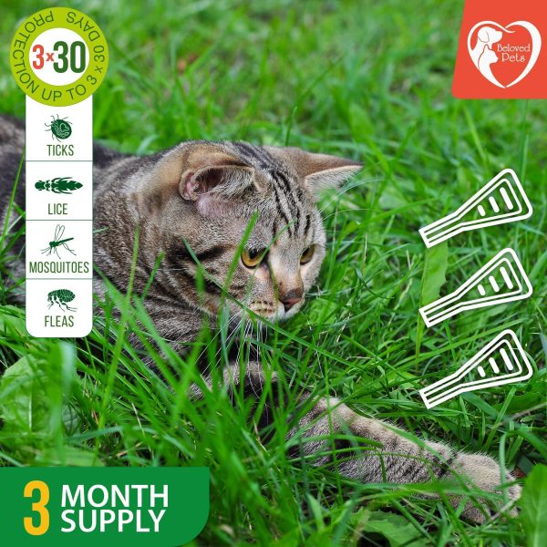 Flea and Tick Prevention for Dogs & Cats Rabbits   Natural Flea Treatment & Home Pest Control   Topical Flea & Mosquito Repellent for Puppy & Kitten   3 Drops for Small and Extra Large Pet (For Cats and small Dogs) - Image 3