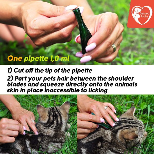 Flea and Tick Prevention for Dogs & Cats Rabbits   Natural Flea Treatment & Home Pest Control   Topical Flea & Mosquito Repellent for Puppy & Kitten   3 Drops for Small and Extra Large Pet (For Cats and small Dogs) - Image 7