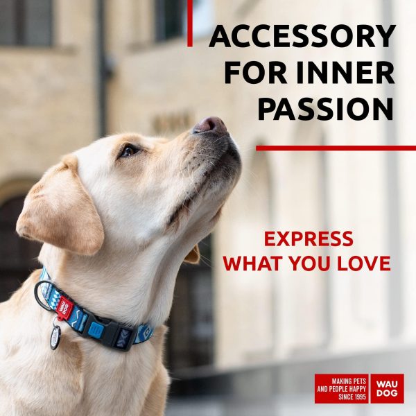 WAUDOG Nylon Dog Collar   Adjustable Dog Collar for Large Dogs Small & Medium Dogs   Breakaway Puppy Collars for Large Breed Dogs   Boy & Girl Dog Collars with Durable Plastic Buckle and QR Dog Tag - Image 2