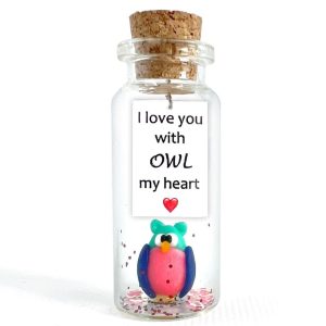 Cute Girlfriend and Boyfriend Gifts Personalized Anniversary Present for Her Him Custom Photo Birthday Gift Bottle (Colorful Owl I Love You With Owl My Heart Gift Bottle)