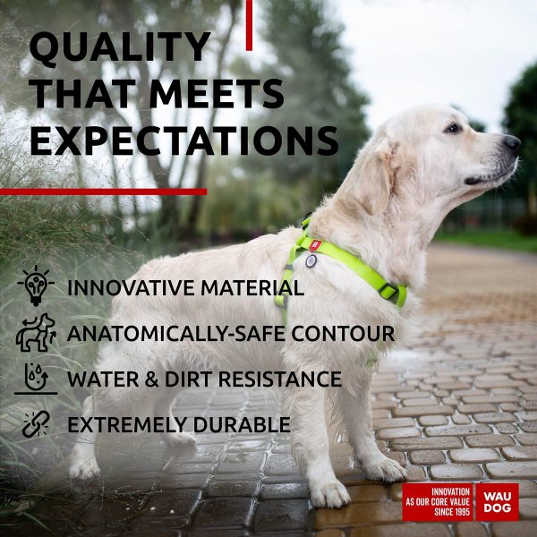Waterproof Dog Harness   Adjustable Dog Harness for Large Dogs Small and Medium Dogs   Heavy Duty Dog Harness with Durable Metal Clasp and QR Dog Tag   Boy & Girl Dog Harness   Green (24 35in) - Image 4