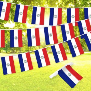 G128 Paraguay Paraguayan Bunting Banner | Flag 8.2 x 5.5 Inch, Full String 33 Feet | Printed 150D Polyester, Decorations For Bar, School, Festival Events Celebration