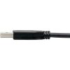 Eaton Tripp Lite Series USB-C to USB-A Cable (M/M), USB 3.2 Gen 1 (5 Gbps), Thunderbolt 3 Compatible, 6 ft. (1.83 m) - Image 7