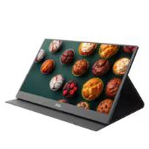 15.6" USB C Portable Monitor