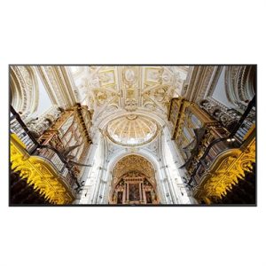 LFD 55 Com 4K UHD Dsply